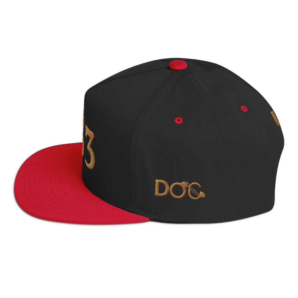 HRMI Personalized Area Code Flat Bill Snapback Cap HellRazah Music Inc