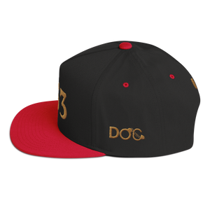 HRMI Personalized Area Code Flat Bill Snapback Cap HellRazah Music Inc