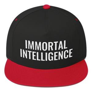 Official Immortal Intelligence Embroidered Hat Flat Bill Cap Hell Razah Music Inc - Heaven Razah
