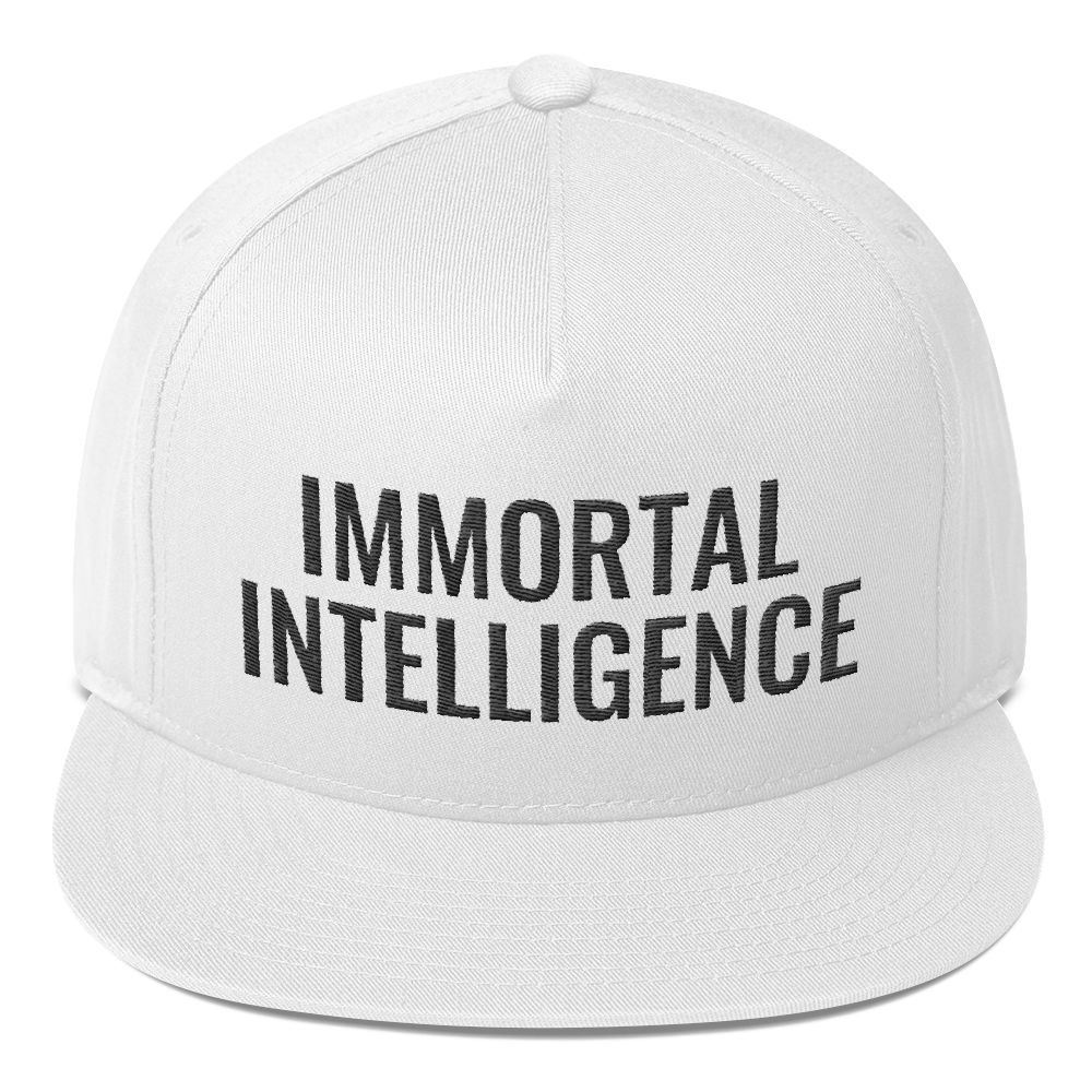 Official Immortal Intelligence Embroidered Hat Flat Bill Cap Hell Razah Music Inc - Heaven Razah
