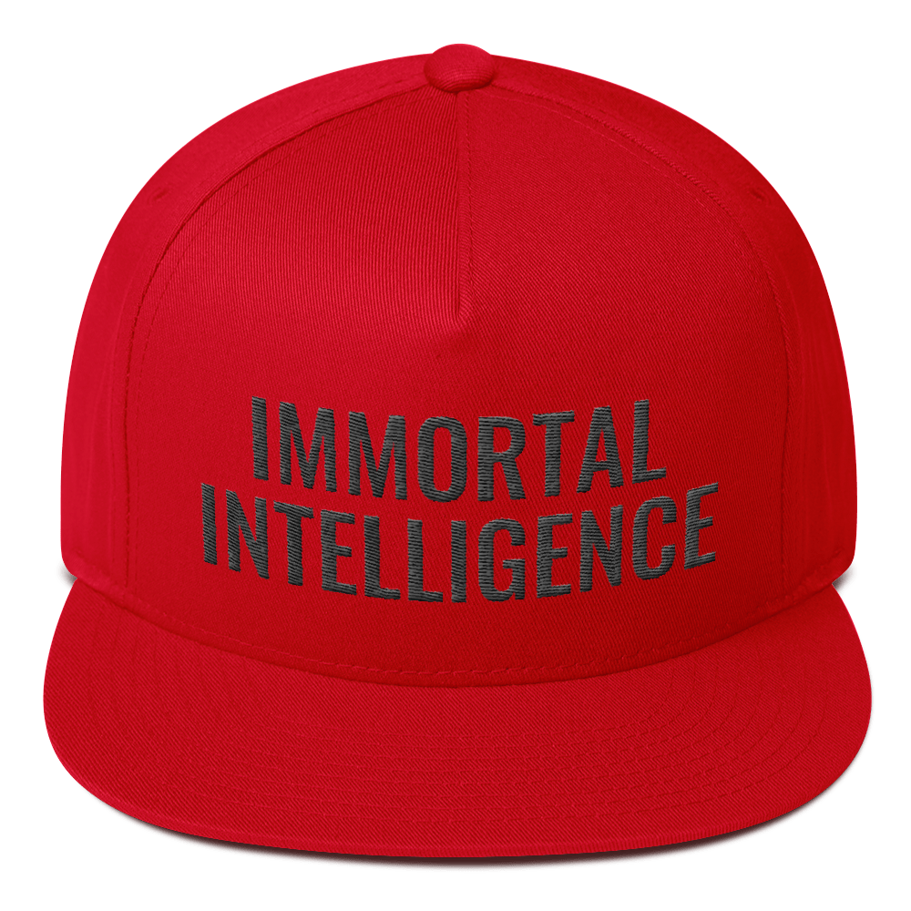 Official Immortal Intelligence Embroidered Hat Flat Bill Cap Hell Razah Music Inc - Heaven Razah