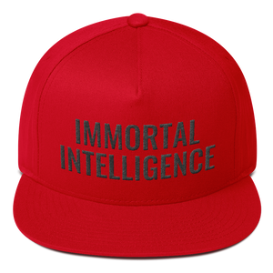 Official Immortal Intelligence Embroidered Hat Flat Bill Cap Hell Razah Music Inc - Heaven Razah