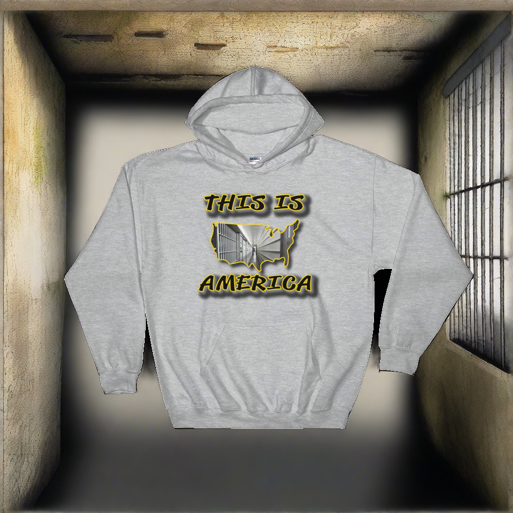 This Is America 2 by DOC Hoodie Hooded Sweatshirt