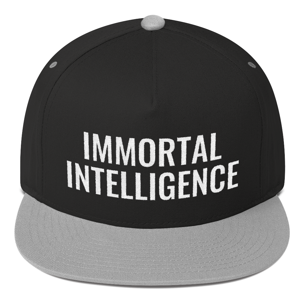 Official Immortal Intelligence Embroidered Hat Flat Bill Cap Hell Razah Music Inc - Heaven Razah