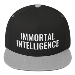 Official Immortal Intelligence Embroidered Hat Flat Bill Cap Hell Razah Music Inc - Heaven Razah