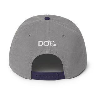 Revolutionary Immortal Intelligence Diamondz Original Clothing Embroidered Cap Snapback Hat