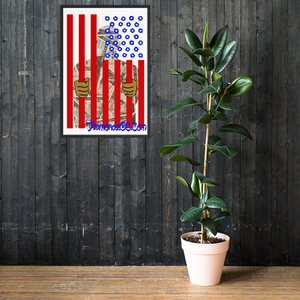 DOC Flag Wall Art Enhanced Matte Paper Framed Poster (in)