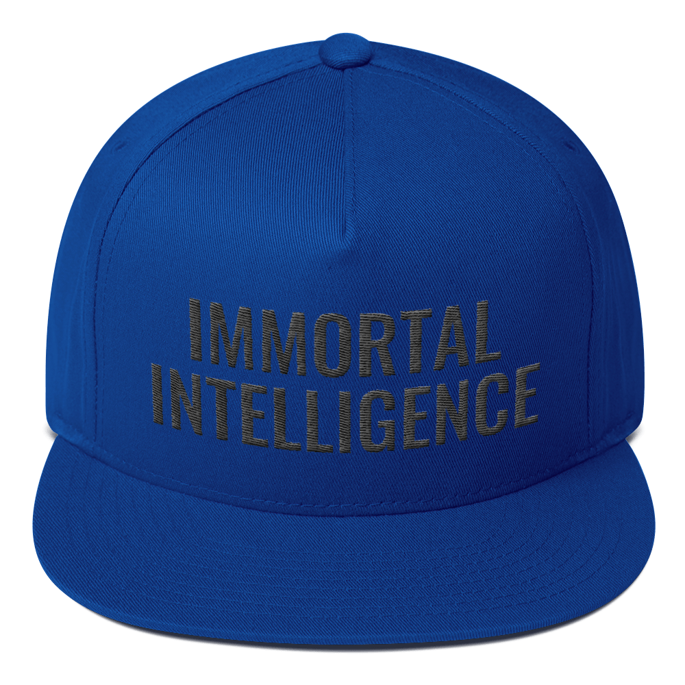 Official Immortal Intelligence Embroidered Hat Flat Bill Cap Hell Razah Music Inc - Heaven Razah
