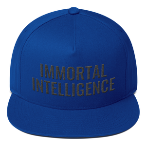 Official Immortal Intelligence Embroidered Hat Flat Bill Cap Hell Razah Music Inc - Heaven Razah
