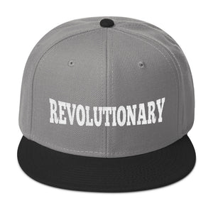 Revolutionary Immortal Intelligence Diamondz Original Clothing Embroidered Cap Snapback Hat