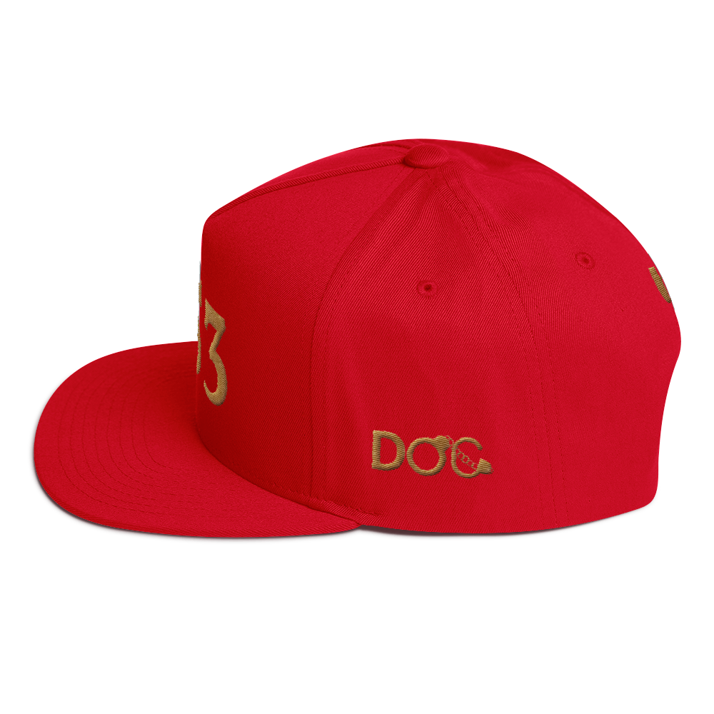 HRMI Personalized Area Code Flat Bill Snapback Cap HellRazah Music Inc