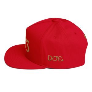 HRMI Personalized Area Code Flat Bill Snapback Cap HellRazah Music Inc