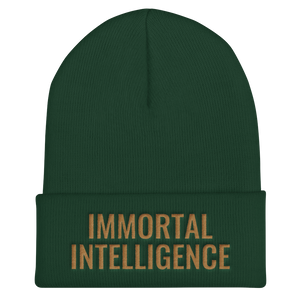 Official IMMORTAL INTELLIGENCE Embroidered Skull Cap Cuffed Beanie Hell Razah Music Inc